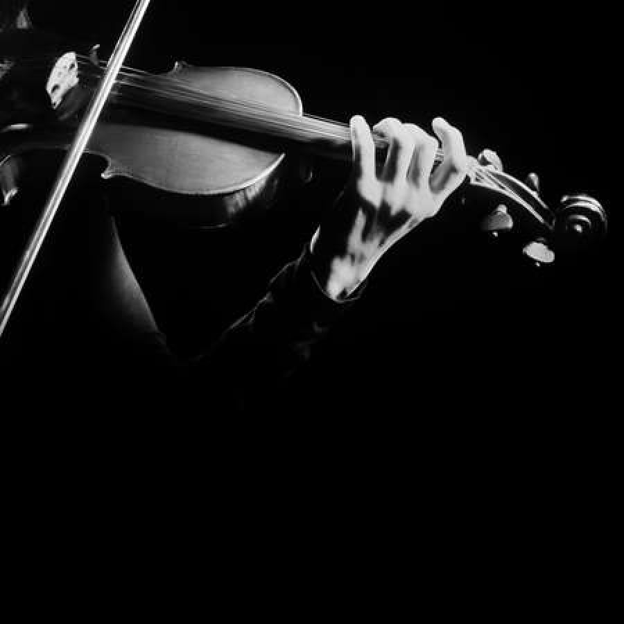 violin 0df8e88b