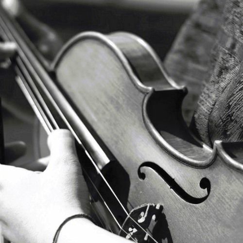 VIOLINROOM L