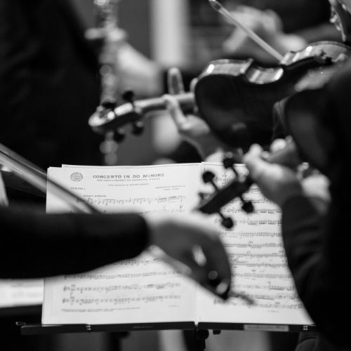 VIOLINROOM S